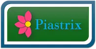 Piastrix Payment Logo (en)