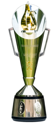 Anderson–Tendulkar Trophy Logo (hi)