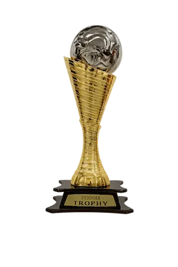Deodhar Trophy Cup (hi)