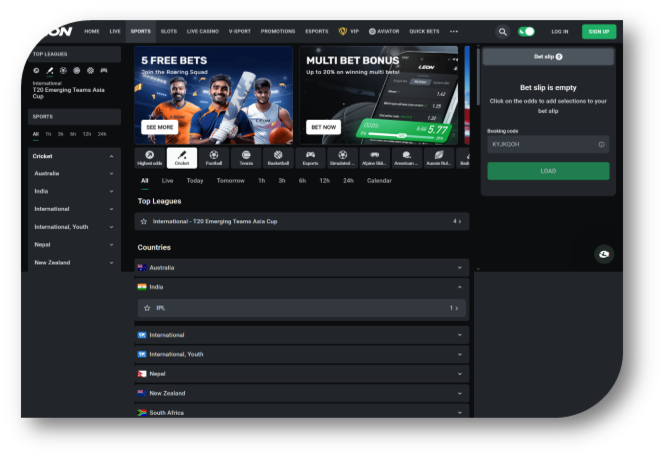 Leon - Cricket Page (en)